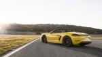 Porsche 718 Boxster GTS 2017 года (WW)